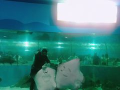 -苏州海洋馆