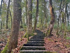 -龙苍沟森林公园
