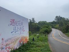 -空港花田景区