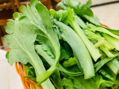 -情忆草原涮肉馆
