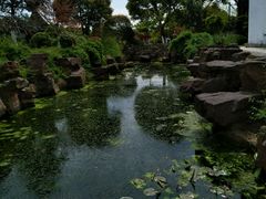 -花溪公园