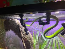 -酷嗒动物文化乐园(cutezoo西溪乐天城店)