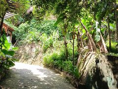 -海南槟榔谷黎苗文化旅游区