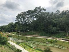 -东莞植物园