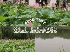 -陶然亭公园