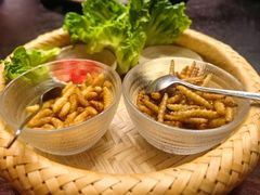 -滇野云南野生菌餐厅(陕西南路店)