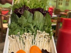 -南门四季铜锅涮肉(大屯·北苑店)