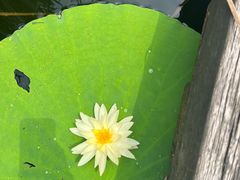 -长广溪湿地公园