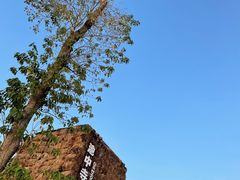 -良渚古城遗址公园