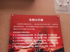 -陕西自然博物馆