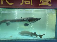 -年辉渔村