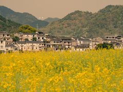 -新安江山水画廊风景区