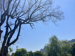 -村上春树