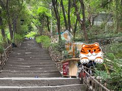 -黄葛古道