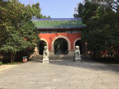 -灵谷景区