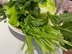 -董记老清泉·鲜切涮羊肉(窑岭店)