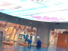 -蓝旗儿童游泳俱乐部(北国中心)