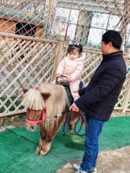 -萌宠亲子动物乐园(槐房万达店)