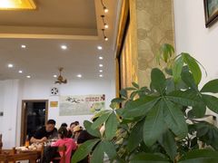 -15年老字号鑫鑫猪肚鸡·椰子鸡海南火锅(兴隆华侨农场店)