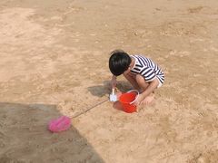 -碧海金沙