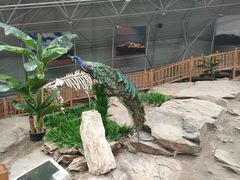 -中国第四纪冰川遗迹陈列馆