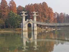 -东湖落雁景区