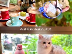 -咖法森林·咖啡  酒吧(天河店)