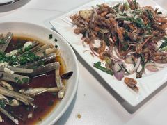 -新楚记