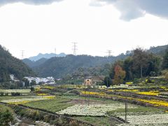 -塔川景区