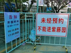 -嘉定紫藤园