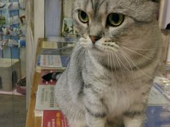 -小时光咖啡馆(开森度假森林店)