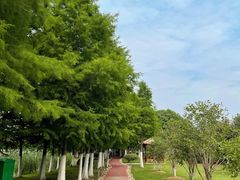 -滨湖塘西河公园