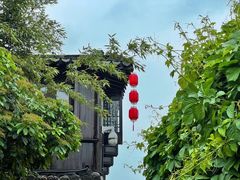 -沙家浜风景区