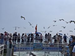 -海驴岛(荣成市)