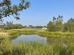 -张家湾公园