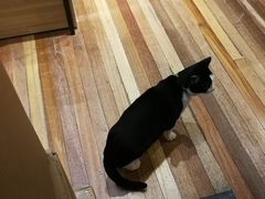 -猫的天空之城概念书店(杭州南宋御街店)