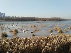 -巴厘岛风情自助餐厅(牡丹广场店)
