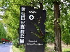-黄海国家森林公园