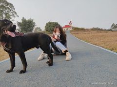 -谐和益家动物医院·免疫绝育·血液透析·宠保定点医院(高新伊藤分院)