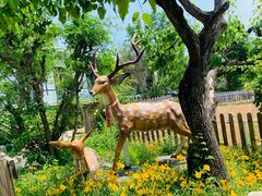 -丽泽山庄·生态怀柔菜·虹鳟鱼(红螺寺店)