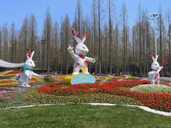 -东平国家森林公园