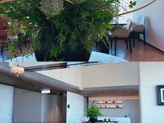 -艾溪湖湿地公园