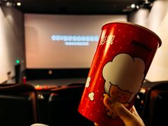 -CGV影城(黄河道ScreenX店)