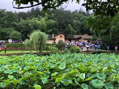 -韶山毛泽东同志故居