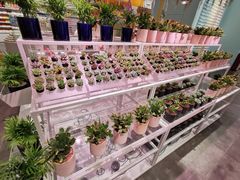 -KKV(深圳宏发大仟里店)