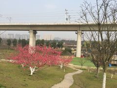 -秀丽东方