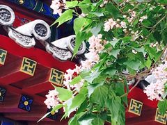 -中央民族大学