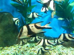 -福州罗源湾海洋世界旅游区