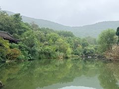 -习家池