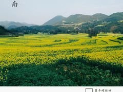 -牛街螺丝田